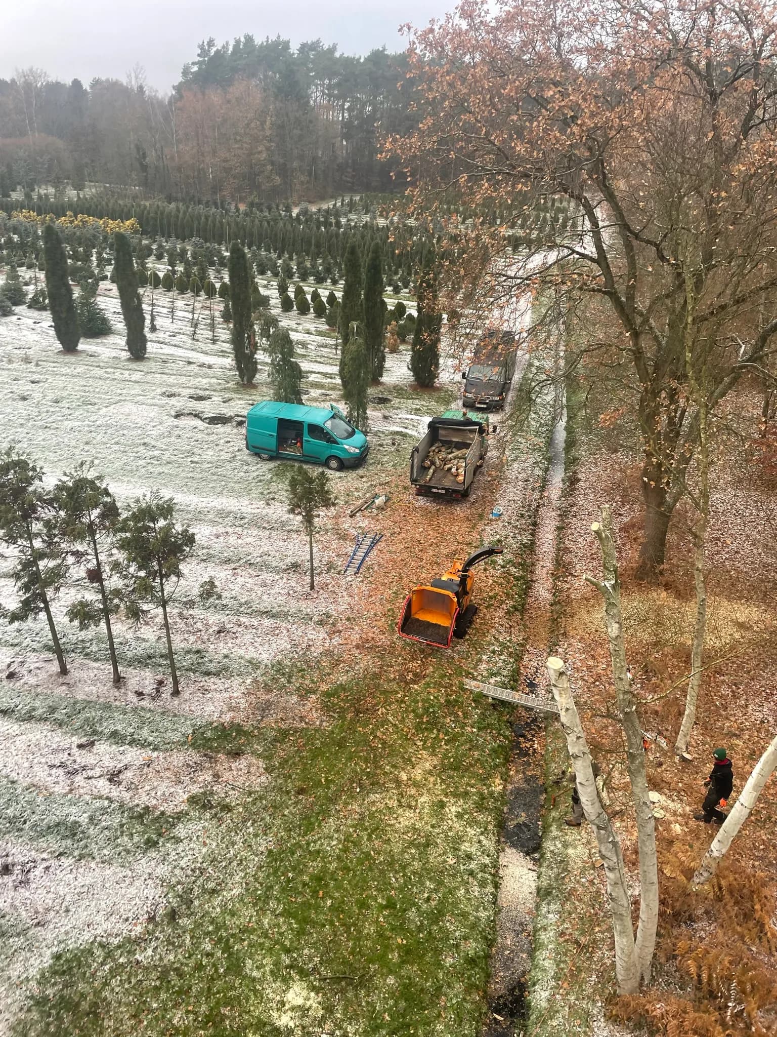Boomverzorging in een winterlandschap, met een hakselaar en vrachtwagen aanwezig om takken en houtresten te verwerken, te midden van sneeuw en een groene boomkwekerij.