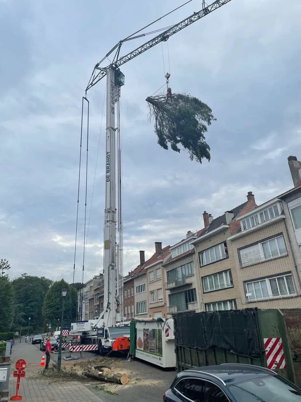 Grote kraan tilt een afgezaagde boomtop uit een stedelijke omgeving, omringd door appartementen en een opgeruimde werkplaats voor boomverzorging.