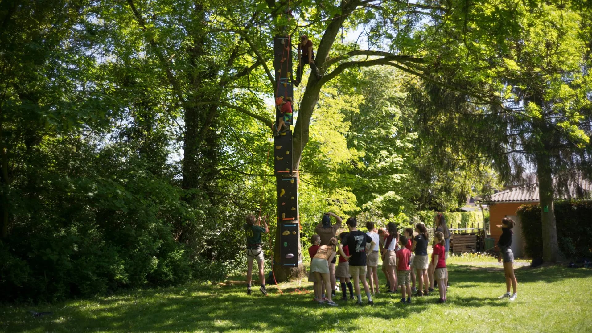 Installatie van een hoogteparcours met een klimwand bevestigd aan een stevige boom, omringd door een groep kinderen en begeleiders